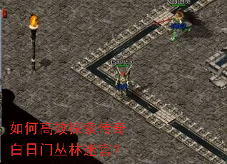 如何高效探索传奇白日门丛林迷宫? 如何高效探索传奇白日门丛林迷宫?