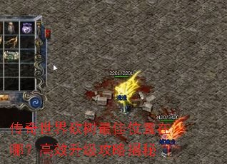 传奇世界砍树最佳位置在哪?高效升级攻略揭秘 传奇世界砍树最佳位置在哪?高效升级攻略揭秘