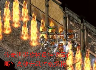 传奇世界砍树最佳位置在哪?高效升级攻略揭秘 传奇世界砍树最佳位置在哪?高效升级攻略揭秘
