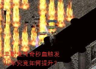 ��ְҵ������Ѫ�������ʾ������������