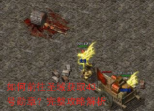 ���ǰ��ʥ���ȡ43��ѫ�£��������Խ���