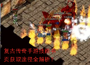 ���Ŵ������μ�����ҳ��ȡ;��ȫ������