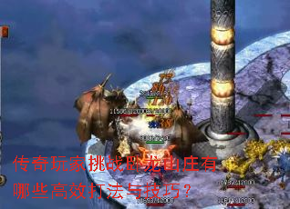 ���������ս����ɽׯ����Щ��Ч���뼼�ɣ�