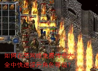 如何在无网络免费传奇大全中快速提升角色等级? 如何在无网络免费传奇大全中快速提升角色等级?