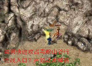 如何快速攻占毒蛇山谷行会战入口?高效战术解析 如何快速攻占毒蛇山谷行会战入口?高效战术解析