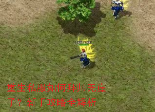 重生私服如何拜师无崖子?新手攻略全解析 重生私服如何拜师无崖子?新手攻略全解析