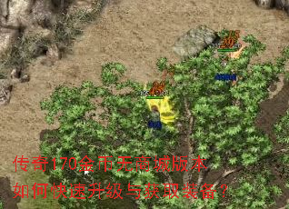 传奇170金币无商城版本如何快速升级与获取装备? 传奇170金币无商城版本如何快速升级与获取装备?