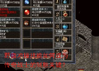 野蛮冲撞技能如何成为传奇战士的制胜关键? 野蛮冲撞技能如何成为传奇战士的制胜关键?