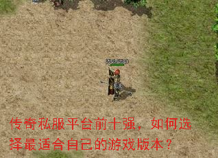 传奇私服平台前十强,如何选择最适合自己的游戏版本? 传奇私服平台前十强,如何选择最适合自己的游戏版本?
