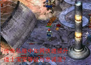 传奇私服中如何快速提升道士宝宝等级与忠诚度? 传奇私服中如何快速提升道士宝宝等级与忠诚度?