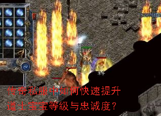 传奇私服中如何快速提升道士宝宝等级与忠诚度? 传奇私服中如何快速提升道士宝宝等级与忠诚度?
