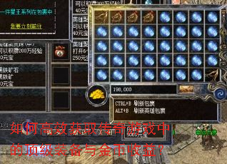 ��θ�Ч��ȡ������Ϸ�еĶ���װ���������棿