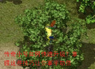 传奇小号如何快速升级?掌握这些技巧让你事半功倍 传奇小号如何快速升级?掌握这些技巧让你事半功倍