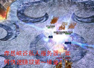 赤岳峡谷私人服务器:如何快速赚取第一桶金? 赤岳峡谷私人服务器:如何快速赚取第一桶金?