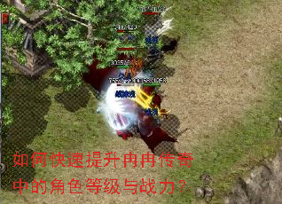 如何快速提升冉冉传奇中的角色等级与战力? 如何快速提升冉冉传奇中的角色等级与战力?