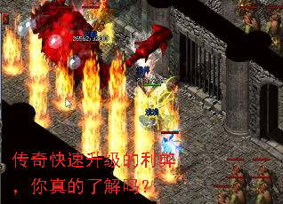 传奇快速升级的利弊,你真的了解吗? 传奇快速升级的利弊,你真的了解吗?