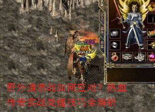 Ұ������ս���Ӧ�ԣ���Ѫ����ʵս��������ȫ����