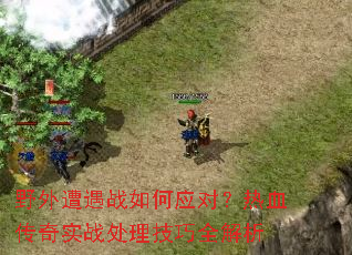 Ұ������ս���Ӧ�ԣ���Ѫ����ʵս��������ȫ����