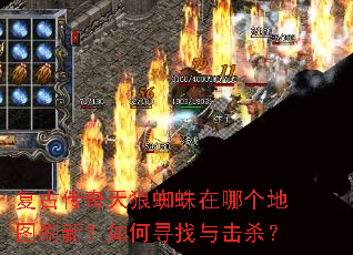 复古传奇天狼蜘蛛在哪个地图刷新?如何寻找与击杀? 复古传奇天狼蜘蛛在哪个地图刷新?如何寻找与击杀?