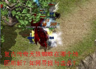 复古传奇天狼蜘蛛在哪个地图刷新?如何寻找与击杀? 复古传奇天狼蜘蛛在哪个地图刷新?如何寻找与击杀?