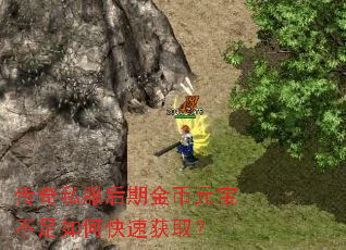 传奇私服后期金币元宝不足如何快速获取? 传奇私服后期金币元宝不足如何快速获取?