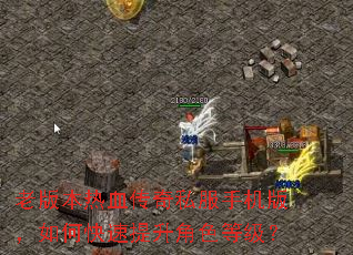 �ϰ汾��Ѫ����˽���ֻ��棬��ο���������ɫ�ȼ���