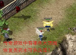 传奇游戏中有哪些大范围恢复类药水可供选择? 传奇游戏中有哪些大范围恢复类药水可供选择?