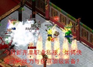 今日新开单职业私服,如何快速提升战力与获取顶级装备? 今日新开单职业私服,如何快速提升战力与获取顶级装备?