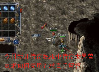 今日新开传奇私服中传奇世界兽灵术如何使用?求高手解答。 今日新开传奇私服中传奇世界兽灵术如何使用?求高手解答。
