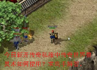 今日新开传奇私服中传奇世界兽灵术如何使用?求高手解答。 今日新开传奇私服中传奇世界兽灵术如何使用?求高手解答。