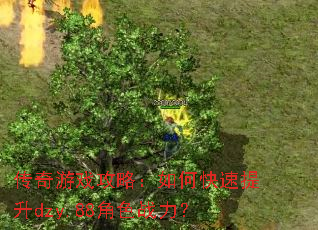 传奇游戏攻略:如何快速提升dzy.88角色战力? 传奇游戏攻略:如何快速提升dzy.88角色战力?