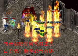 传奇初期如何高效击杀白野猪?新手必看攻略 传奇初期如何高效击杀白野猪?新手必看攻略