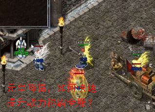 元皇降临,如何快速提升战力称霸全服? 元皇降临,如何快速提升战力称霸全服?