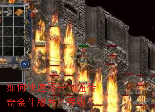 如何快速提升网通传奇金牛服角色等级? 如何快速提升网通传奇金牛服角色等级?