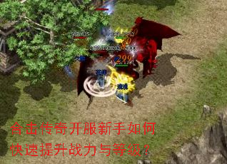 合击传奇开服新手如何快速提升战力与等级? 合击传奇开服新手如何快速提升战力与等级?