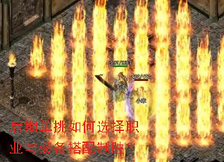 ���ڵ������ѡ��ְҵ��װ��������ʤ��