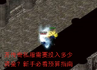 开传奇私服需要投入多少资金?新手必看预算指南 开传奇私服需要投入多少资金?新手必看预算指南