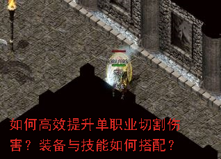 ��θ�Ч������ְҵ�и��˺���װ���뼼����δ��䣿