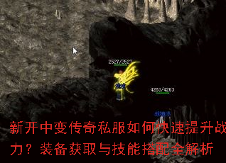 �¿��б䴫��˽����ο�������ս����װ����ȡ�뼼�ܴ���ȫ����