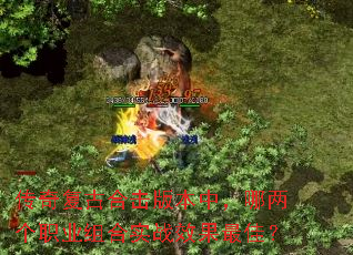 传奇复古合击版本中,哪两个职业组合实战效果最佳? 传奇复古合击版本中,哪两个职业组合实战效果最佳?