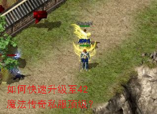 如何快速升级至42魔法传奇私服顶级? 如何快速升级至42魔法传奇私服顶级?