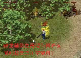 暗龙辅助免费版为何在夜间时段无法正常使用? 暗龙辅助免费版为何在夜间时段无法正常使用?